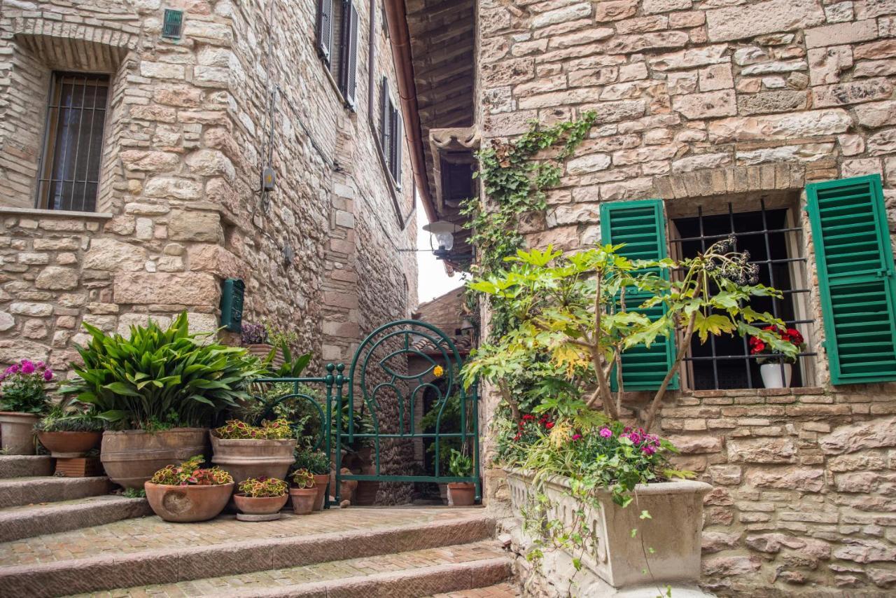 Hotel La Viola Di Asís Exterior foto
